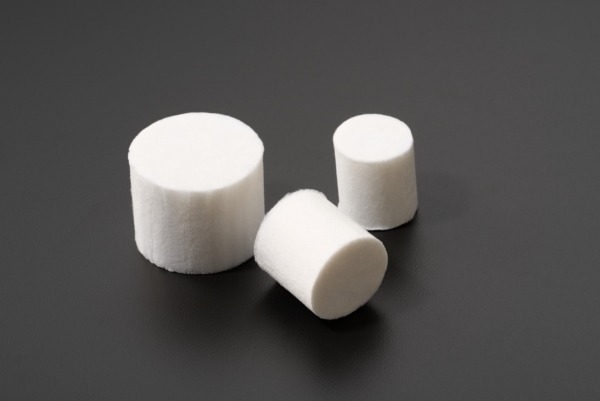 BLK 4 Drosophila plugs family