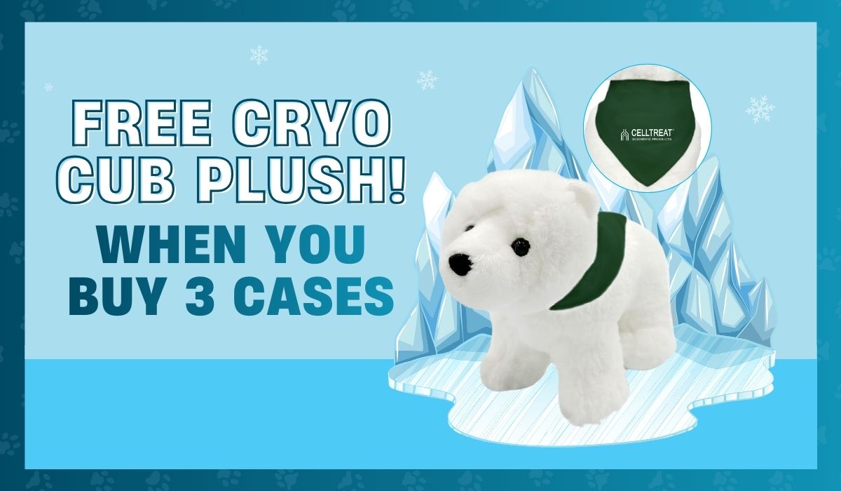 FEB2026 Website Graphics - Horizontal