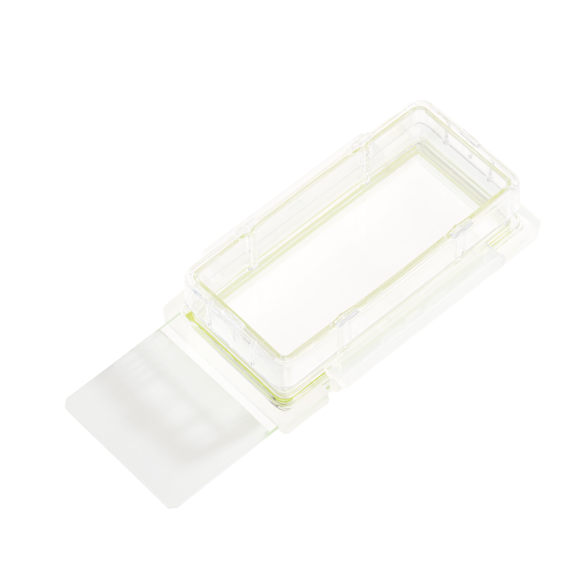 Glass Bottom Culture Products | 229161 • CELLTREAT