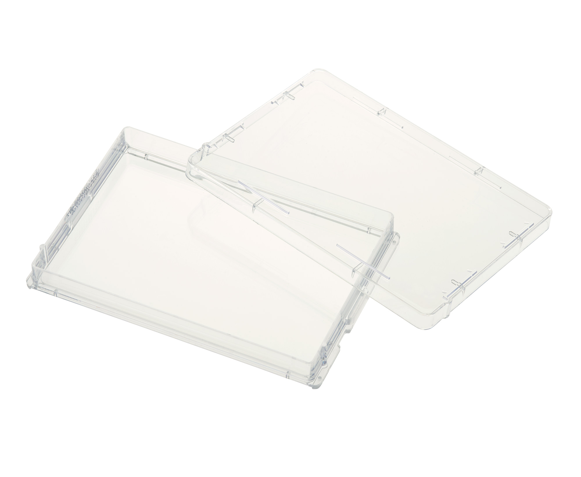 Round Bottom 1.5 mL 3.26 cm H Pack of 25 Polypropylene Non-Sterile Square Well CELLTREAT 229573 96 Deep Well Storage Plate 12.66 cm L 8.46 cm W 