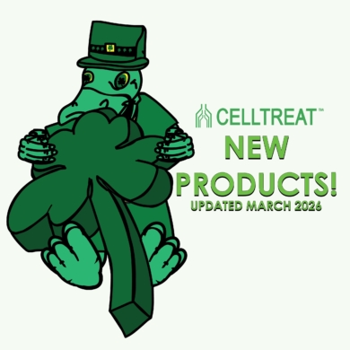 Image - 2026 03 06T153414 526