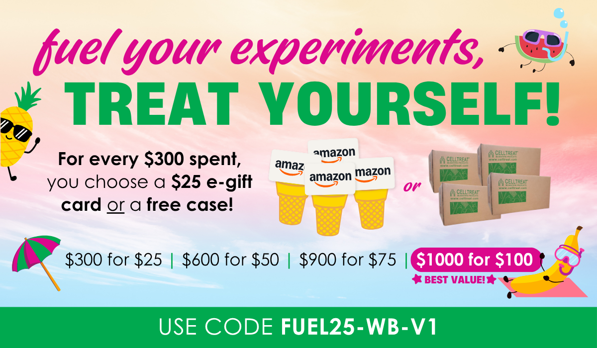 July 2025 Promotion Website Graphic Horizontal