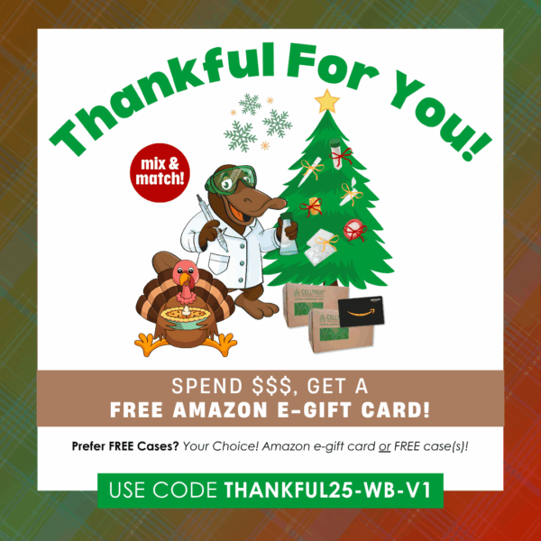 NOV DEC 2025 Website Graphic 1080x1080