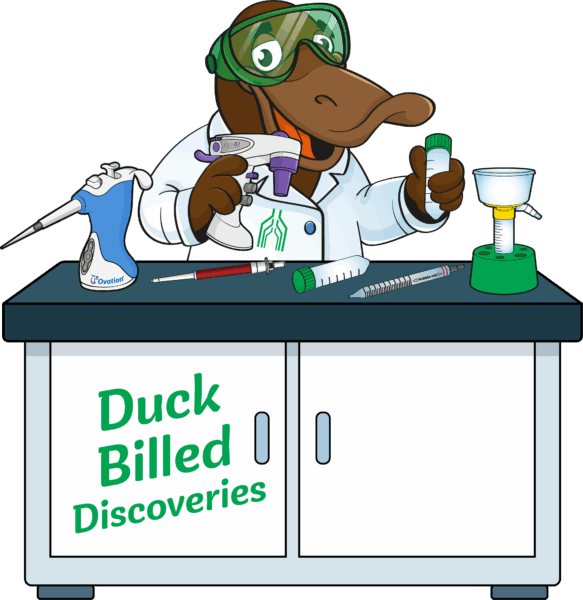 Platy (Duck Billed Discoveries)