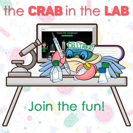 Promotion Image Crab in the Lab (Aug 2023)