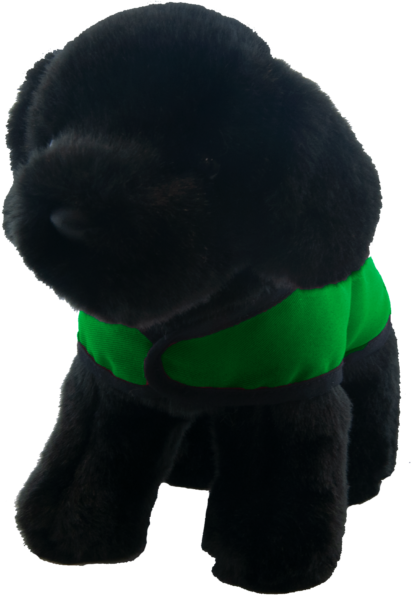 black lab green vest