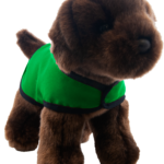 chocolate lab green vest