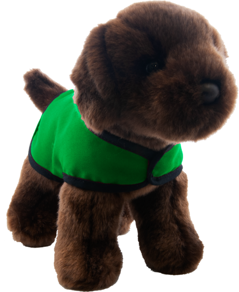 chocolate lab green vest