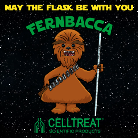 promotion image fernbacca dec 2019