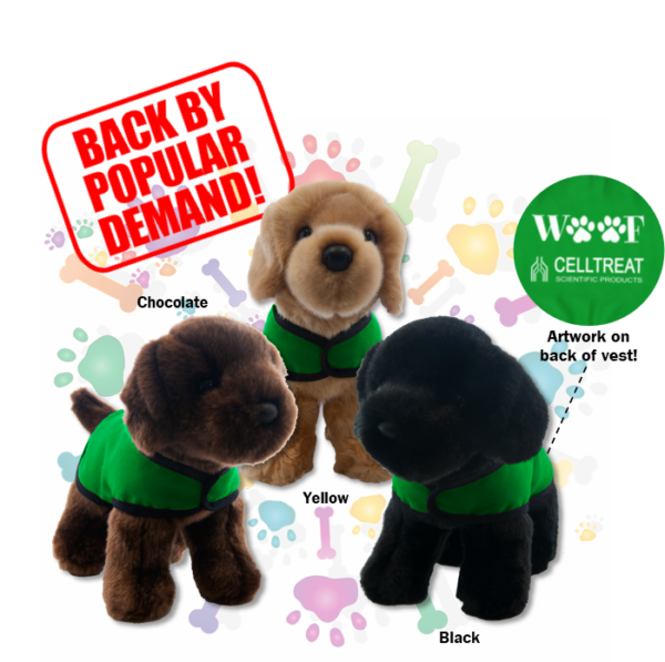 puppies 2