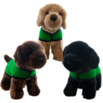 puppy group green vest