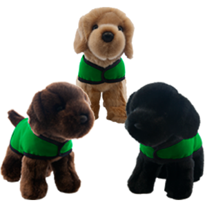 puppy group green vest