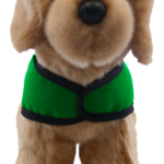 yellow lab green vest